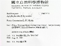 登錄號:F0017614藏品圖，第2張