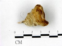 登錄號:F0017614藏品圖，第1張