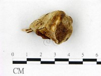 登錄號:F0017614藏品圖，第4張