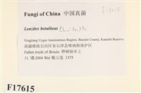 登錄號:F0017615藏品圖，第2張