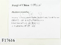 登錄號:F0017616藏品圖，第3張