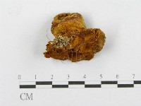 登錄號:F0017616藏品圖，第1張