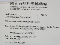 登錄號:F0017617藏品圖，第2張