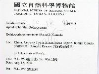 登錄號:F0017618藏品圖，第2張