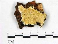 登錄號:F0017618藏品圖，第1張