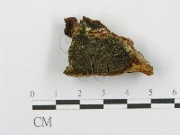 登錄號:F0017620藏品圖，第1張