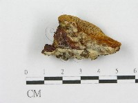 登錄號:F0017620藏品圖，第5張