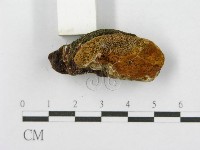 登錄號:F0017620藏品圖，第6張