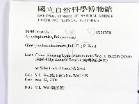 登錄號:F0017621藏品圖，第2張