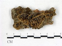 登錄號:F0017621藏品圖，第1張