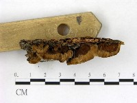 登錄號:F0017621藏品圖，第3張