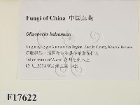 登錄號:F0017622藏品圖，第2張