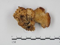 登錄號:F0017623藏品圖，第3張