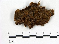 登錄號:F0017624藏品圖，第1張