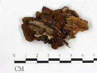 登錄號:F0017624藏品圖，第3張