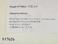 登錄號:F0017626藏品圖，第2張