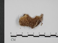 登錄號:F0017627藏品圖，第1張