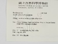 登錄號:F0017628藏品圖，第2張