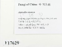 登錄號:F0017629藏品圖，第2張