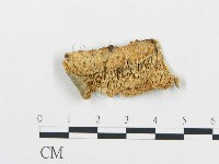 登錄號:F0017629藏品圖，第1張
