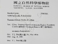 登錄號:F0017631藏品圖，第2張