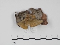 登錄號:F0017631藏品圖，第3張