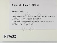 登錄號:F0017632藏品圖，第2張