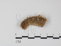 登錄號:F0017632藏品圖，第1張