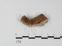 登錄號:F0017632藏品圖，第4張