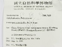 松生擬層孔菌藏品圖，第3張