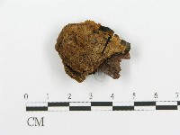 登錄號:F0017635藏品圖，第4張