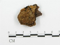登錄號:F0017635藏品圖，第6張