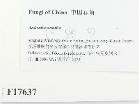 登錄號:F0017637藏品圖，第2張