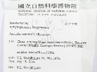 登錄號:F0017638藏品圖，第3張