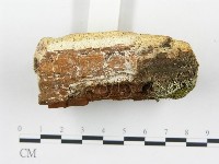 登錄號:F0017638藏品圖，第6張