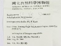 松生擬層孔菌藏品圖，第3張