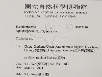 栓菌屬藏品圖，第2張