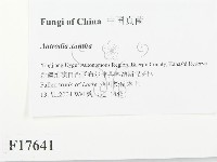 登錄號:F0017641藏品圖，第2張