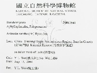 登錄號:F0017641藏品圖，第3張