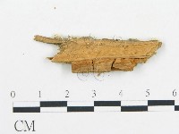 登錄號:F0017641藏品圖，第4張