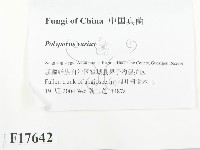 登錄號:F0017642藏品圖，第2張