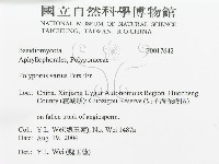 登錄號:F0017642藏品圖，第3張