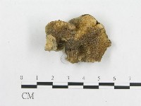 登錄號:F0017642藏品圖，第4張