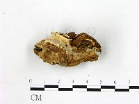 登錄號:F0017643藏品圖，第3張