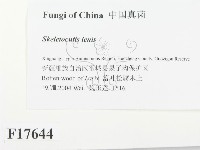 登錄號:F0017644藏品圖，第2張