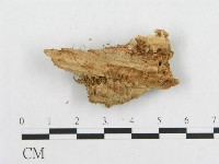 登錄號:F0017644藏品圖，第5張