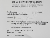 栓菌屬藏品圖，第2張