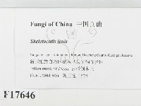 登錄號:F0017646藏品圖，第2張