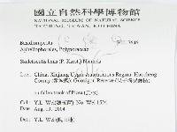 登錄號:F0017646藏品圖，第3張