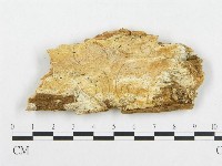 登錄號:F0017646藏品圖，第1張